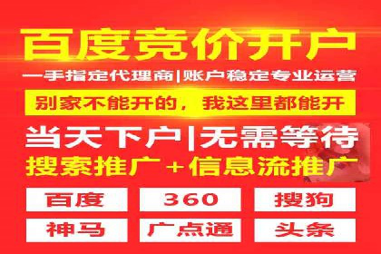 SEM搜索引擎优化：成功案例解析